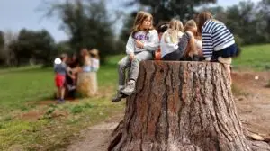 Mayrit Escuela Activa - Escuela Activa en Madrid