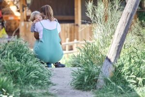 NS Madre Tierra - Juego