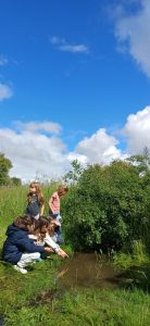 Investigaciones científicas en el bosque - Mayrit Escuela Activa